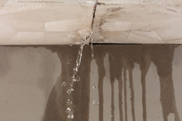 Professional Water Damage Repair technician working in Flatonia, TX